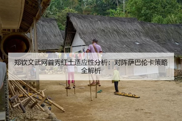 郑钦文武网首秀红土适应性分析：对阵萨巴伦卡策略全解析