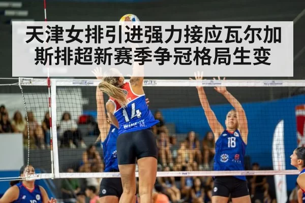 天津女排引进强力接应瓦尔加斯排超新赛季争冠格局生变